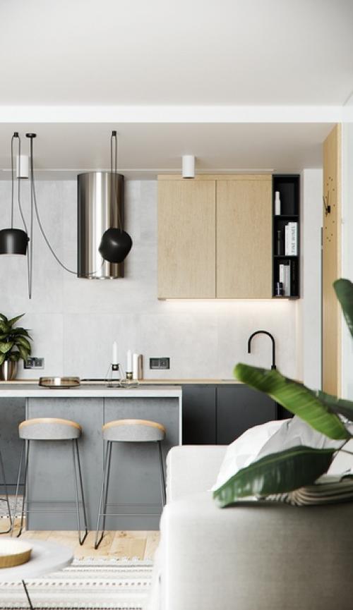 Квартира площадью 50 м 2. 02